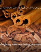 Friendly Soap Natural Soap Cinnamon натурален сапун 7x95 гр.