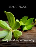Friendly Soap Natural Soap Ylang Ylang натурален сапун 7x95 гр.