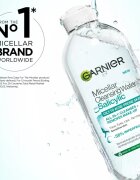 Garnier Salicylic Micellar Cleansing Water мицеларна почистваща вода със салицилова киселина 400 мл.