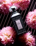 Gisada Luxury Collection Iris Parfum парфюм унисекс 100 мл.