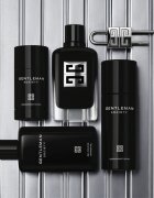 Givenchy Gentleman Society део-стик за мъже 75 мл.