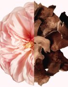 Givenchy Irresistible aромат за коса за жени 35 мл.