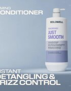 Goldwell Dualsenses Just Smooth Taming Conditioner изглаждащ балсам 1000 мл.
