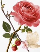 GOUTAL Rose Pompon парфюмна вода за жени 100 мл.