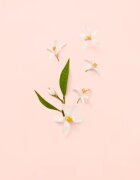 Gucci Bloom тоалетна вода за жени 30 мл.