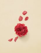 Gucci Guilty Absolute парфюмна вода за жени 50 мл.