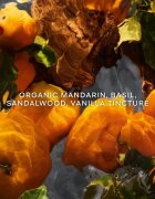Guerlain Aqua Allegoria Mandarine Basilic Forte подаръчен комплект за жени