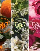 Guerlain Aqua Allegoria Rosa Verde подаръчен комплект за жени