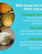 HEMPZ Sweet Pineapple Honey Melon хидратиращ балсам За коса 500 мл.
