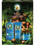 Herbal Essences Argan Oil Repair Gift Set подаръчен комплект за увредена коса