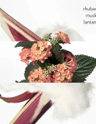 Hermes Colognes Collection Eau de Rhubarbe Écarlate одеколон унисекс 200 мл.