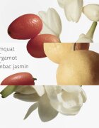 Hermes Parfums-Jardins Collection Le Jardin de Monsieur Li тоалетна вода сменяема унисекс 100 мл.