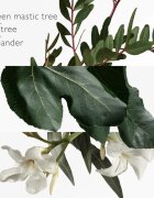 Hermes Parfums-Jardins Collection Un Jardin Mediterranée тоалетна вода сменяема унисекс 50 мл.
