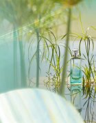 Hermes Parfums-Jardins Collection Un Jardin sur le Nil тоалетна вода сменяема унисекс 50 мл.