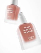 House of Hur Moist Ampoule Blusher течен руж цвят 01 Nude Beige 20 мл.