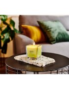 ipuro Essentials Lime Light ароматна свещ 125 гр.