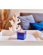 ipuro Essentials Sunny Beachtime ароматна свещ 125 гр.