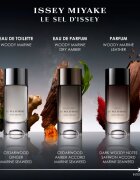 Issey Miyake Le Sel d'Issey парфюм за мъже 100 мл.