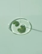 iUnik Tea Tree успокояващ серум за лице за чувствителна кожа склонна към акне 50 мл.