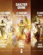 Jean Paul Gaultier Gaultier Divine Le Parfum парфюмна вода за жени 30 мл.