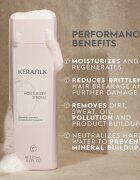 KERASILK Essentials Repairing Shampoo почистващ и подхранващ шампоан за суха и увредена коса 250 мл.