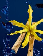 Kérastase Nutritive подаръчен комплект за подхранване и хидратация
