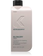 Kevin Murphy Blow.Dry Wash подхранващ шампоан за крехка и стресирана коса 250 мл.