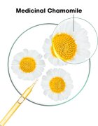 Klorane Chamomile шампоан за руса коса 200 мл.