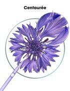 Klorane Cornflower Organic шампоан неутрализиращ жълтеникавите оттенъци 200 мл.