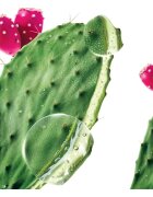 Klorane Prickly Pear хидратиращ балсам 200 мл.