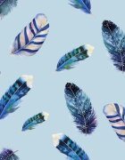 Kolorky Day Feathers еднократни ЕКО пелени размер XL 12-16 Kg 17 бр.