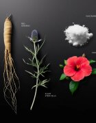 KORIKA Korean Heritage Ginseng & Marine Stem Cells Anti-aging Sun Fluid SPF 50 защитен флуид против стареене на кожата SPF 50 50 мл.