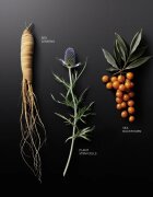 KORIKA Korean Heritage Ginseng & Marine Stem Cells Cell Renew Eye Cream хидратиращ и подмладяващ крем за околоочната област 15 мл.
