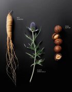 KORIKA Korean Heritage Ginseng & Marine Stem Cells Youth Elixir Cream подхранващ антиоксидантен крем за подмладяване на кожата на лицето 50 мл.