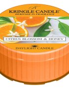 Kringle Candle Citrus Blossom & Honey чаена свещ 42 гр.