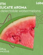 Labello Disney Princess Watermelon Shine хидратиращ балсам за устни 4.8 гр.