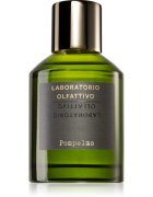 Laboratorio Olfattivo Pompelmo одеколон унисекс 100 мл.