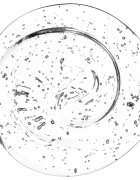 LAMEL Liquid Brow Soap прозрачен фиксиращ гел за вежди 45 мл.