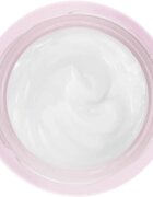 Lancôme Hydra Zen Rich Cream хидратиращ крем за суха кожа 50 мл.