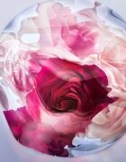 Lancôme La Vie Est Belle Rose Extraordinaire парфюмна вода за жени 30 мл.