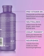 Lee Stafford Bleach Blondes Toning Conditioner тониращ балсам за блонд коса и коса с кичури 250 мл.