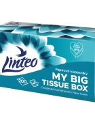 Linteo Paper Tissues Two-ply Paper 200 pcs per box хартиени кърпички 200 бр.