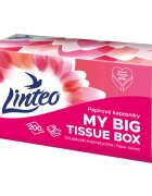 Linteo Paper Tissues Two-ply Paper 200 pcs per box хартиени кърпички 200 бр.