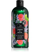 Lirene Shower Gel хидратиращ душ гел с есенциални масла 400 мл.