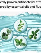 Listerine Cool Mint Mild Taste вода за уста без алкохол вкус Cool Mint 1000 мл.