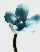 Loewe 001 Woman тоалетна вода за жени 15 мл.