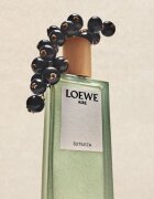 Loewe Aire Sutileza тоалетна вода за жени 100 мл.