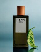 Loewe Esencia парфюмна вода за мъже 100 мл.