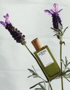 Loewe Miniature Set подаръчен комплект унисекс