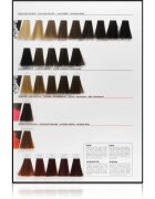 L’Oréal Professionnel Inoa ODS2 боя за коса цвят 10.12 Lightest Ash Iridescent Blonde 60 гр.